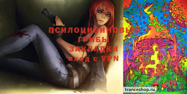 амф Белокуриха