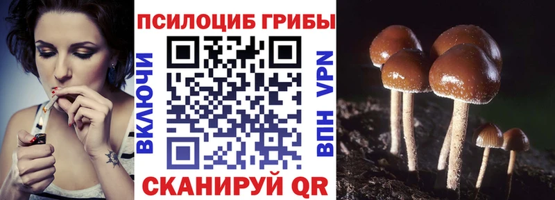 купить закладку  Куйбышев  Псилоцибиновые грибы GOLDEN TEACHER 